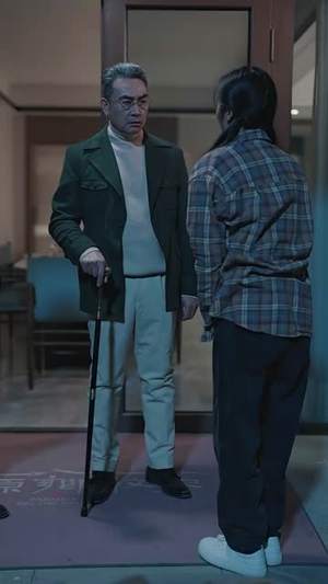 归巢（80集）越看越好看短剧