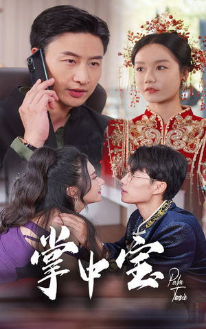 掌中宝（31集）简直不要太好看