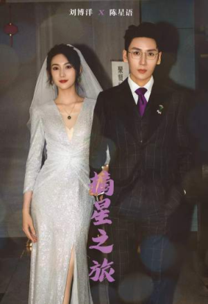 摘星之旅（88集）短剧全集免费看