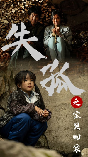 失孤之宝贝回家(71集) 失孤之宝贝回家(71集)男主角是谁