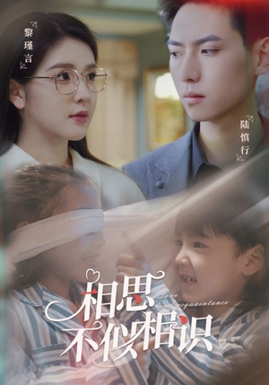相思不似相识（101集）好看上头的短剧