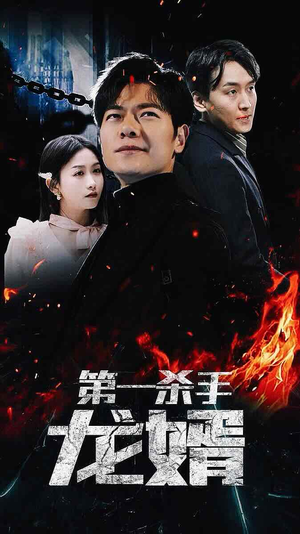 第一杀手龙婿（100集）哪个网站可以看