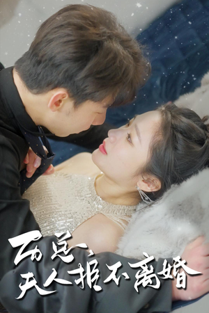 历总，夫人拒不离婚（61集）短剧免费看全集