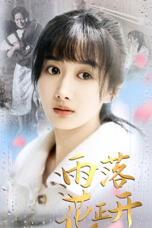 雨落花正开（62集）热播短剧重燃