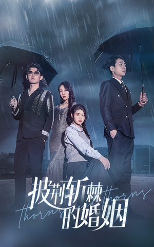 披荆斩棘的婚姻(70集) 披荆斩棘的婚姻(70集)短剧全集免费看