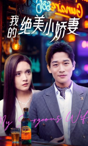 我的绝美小娇妻（80集）短剧追到爽
