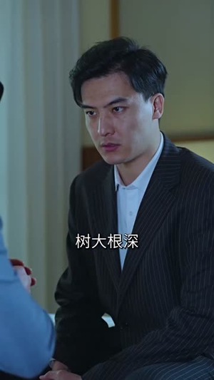 拯救豪门的赘婿(80集) 拯救豪门的赘婿(80集)大结局太过瘾了