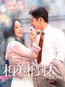 相亲相到大boss（101集）短剧解说全集