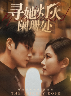 寻她灯火阑珊处（61集）夸克在线观看