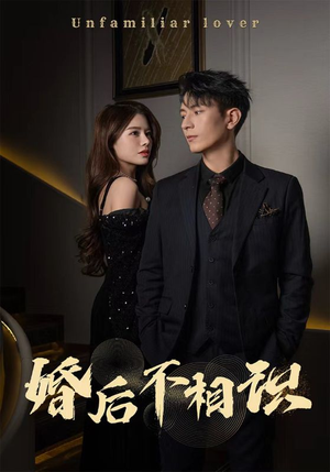 婚后不相识（100集）抢先看新短剧
