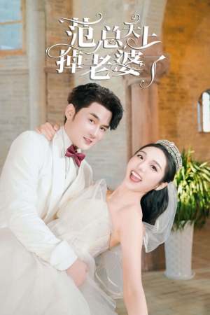 范总天上掉老婆了（78集）短剧在哪个平台