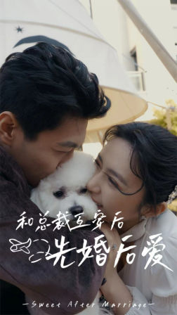 和总裁互穿后先婚后爱（60集）火爆短剧热播中