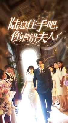陆总住手吧，你虐错夫人了（80集）免费观看