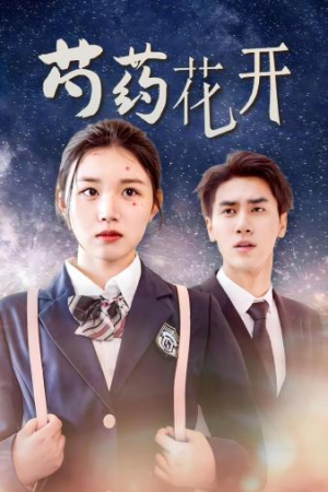 火光中的芍药花（77集）在线播放