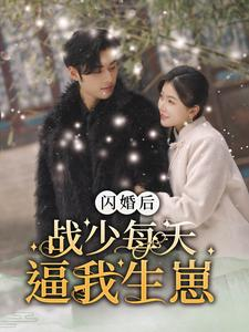 闪婚后战少每天逼我生崽（91集）短剧有好货推荐