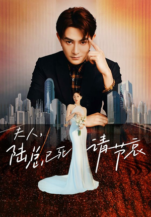 夫人，陆总已死请节哀（95集）热门短剧榜单