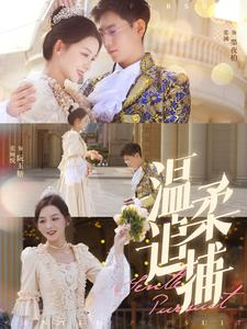 温柔追捕（89集）热播短剧来袭