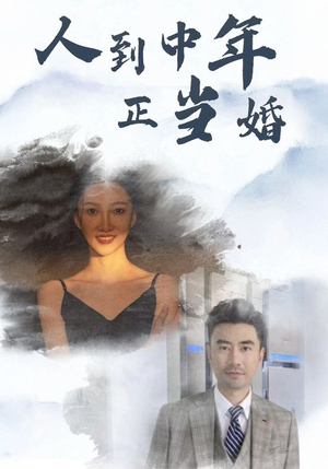 人到中年正当婚(81集) 人到中年正当婚(81集)短剧全集更精彩