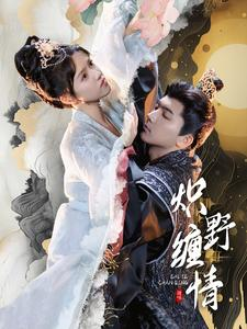 炽野缠情（95集）短剧上头又好看