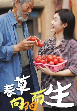 春草向阳而生（53集）UC网盘在线看