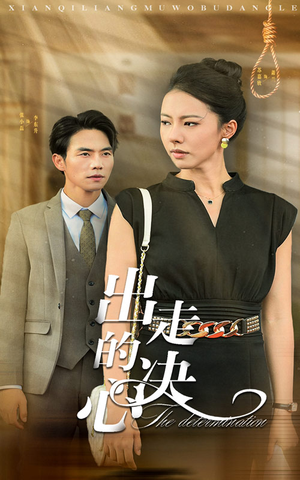 出走的决心（29集）哪个网站可以看