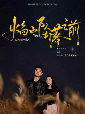 焰火坠落之前（99集）原创精彩短剧