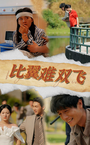 比翼难双飞(30集) 比翼难双飞(30集)火爆短剧抢先看