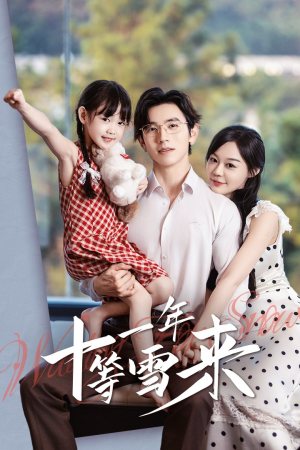 十一年等雪来（50集）更新时间