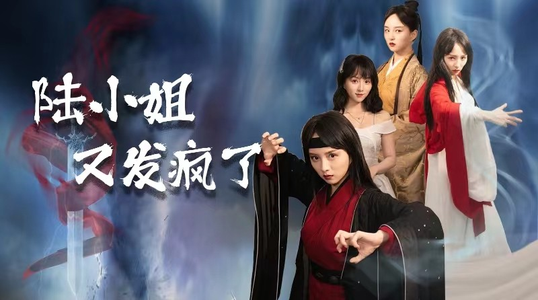 陆小姐又发疯了（28集）评价怎么样