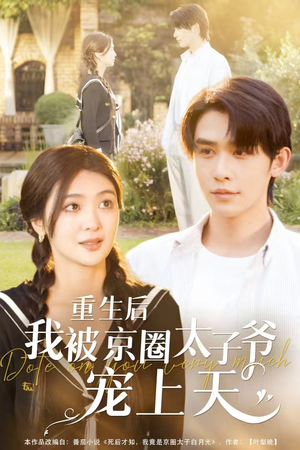 重生后我被京圈太子爷宠上天（78集）短剧太上头了