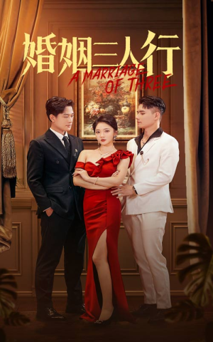婚姻三人行（31集）精彩好看短剧
