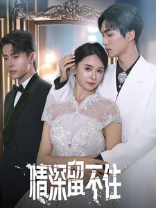 情深留不住（80集）评价怎么样