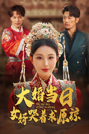 大婚当日,女婿哭着求原谅(31集) 大婚当日,女婿哭着求原谅(31集)第二季