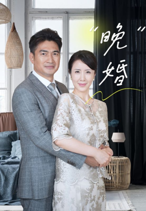 晚婚（65集）免费观看