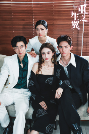 重生之翼（56集）精彩短剧天天看