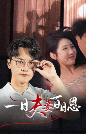 一日夫妻百日恩（30集）真的太好看了