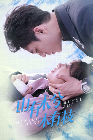 山有木兮木有枝（60集）百度网盘资源