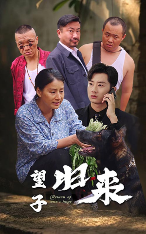 望子归来（50集）短剧太上头了