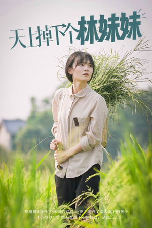天上掉下个林妹妹（81集）热播短剧抢先看