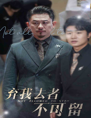 生命它璀璨如歌（60集）一口气看完全集