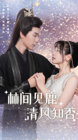 林间见鹿清风知否（62集）第三季