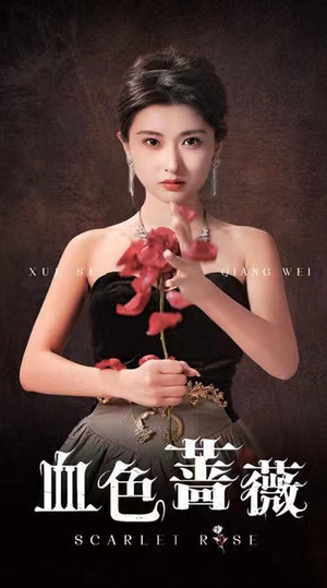 血色蔷薇（33集）完整版