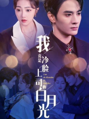 我竟是冷脸上司的白月光（80集）夸克在线观看