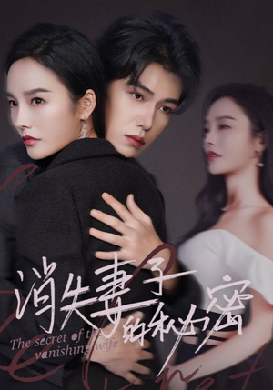 消失妻子的秘密（60）更新时间一览表