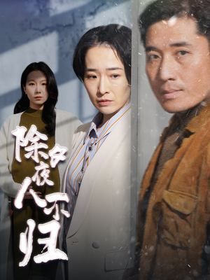 除夕夜人不归（47集）在线免费观影