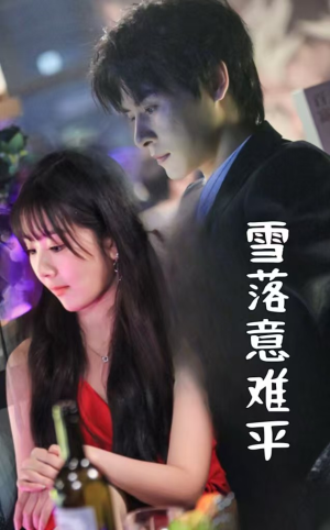 雪落意难平（35集）高清画质免费看