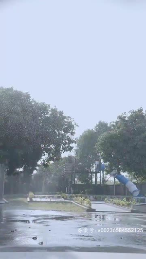 逃离迷境（70集）免费短剧完整版