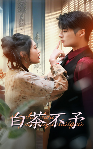 白茶不予（68集）UC网盘在线看
