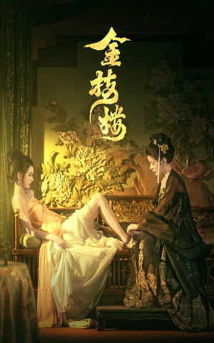 金枝楼（52集）精彩的网络短剧