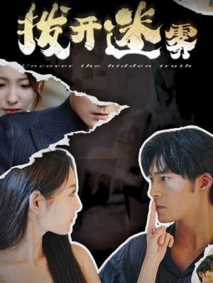 拨开迷雾（85集）全集我都看完了